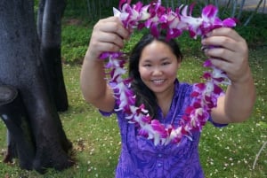 Kauai: Lihue Lufthavn Bryllupsrejse Lei-hilsen