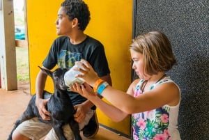 Kauai: Local Tastes Small Group Food Tour