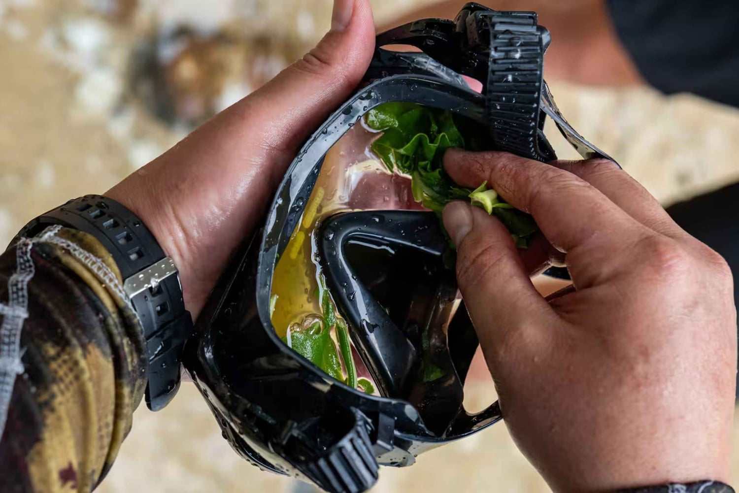 Kauai: Mālama Kai Schnorchel-Abenteuer
