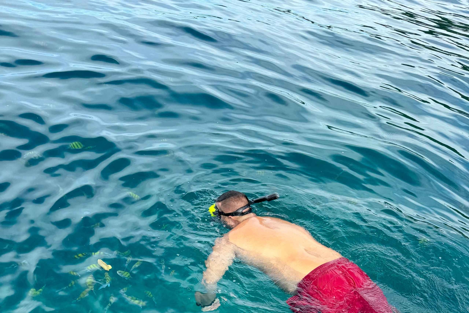 Kauai: Mālama Kai Schnorchel-Abenteuer