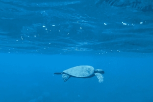 Kauai: Mālama Kai Schnorchel-Abenteuer