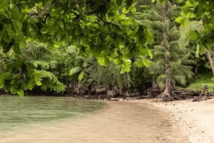 Kauai: Mālama Kai Schnorchel-Abenteuer