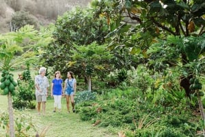Kauai : Visite libre du jardin McBryde