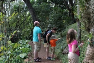 Kauai: McBryde Garden Självguidande besök