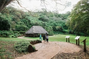 Kauai: wizyta z przewodnikiem w McBryde Garden