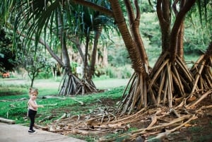Kauai: wizyta z przewodnikiem w McBryde Garden