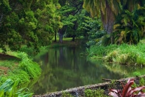 Kauai: McBryde Garden Selbstgeführter Besuch