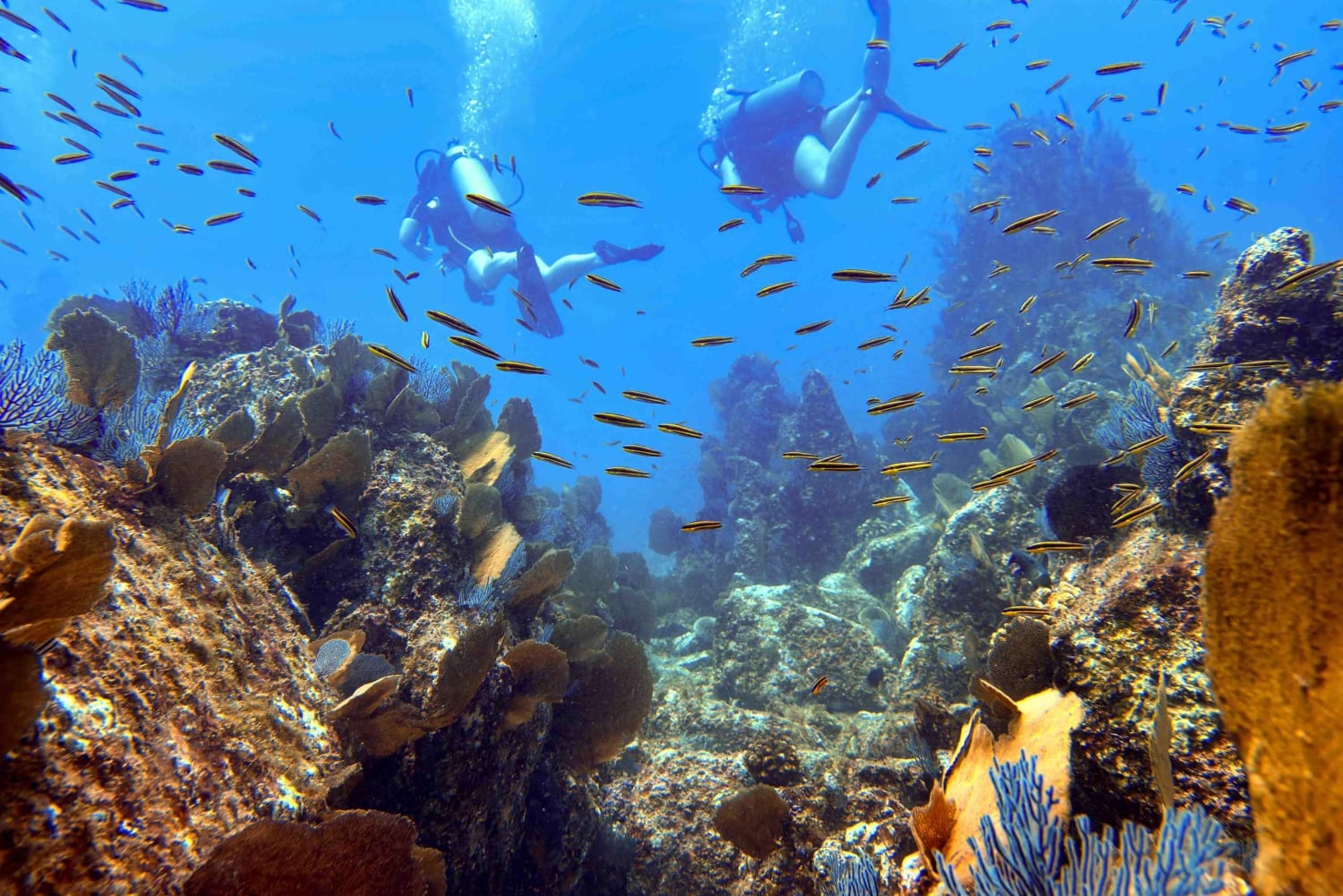 Kauai: Inmersión matinal en barco con 2 botellas para buceadores experimentados