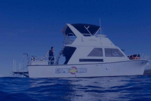 Kauai: Immersione mattutina in barca con 2 bombole per subacquei esperti