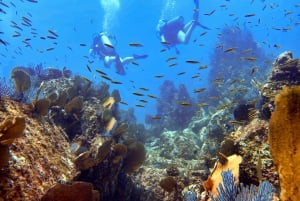 Kauai: Inmersión matinal en barco con 2 botellas para buceadores experimentados