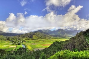 Kauai: Movie Locations Tour