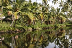 Kauai: Movie Locations Tour