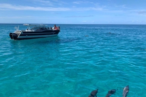 Kauai: Na Pali Küste Bootstour mit kulturellem Kapitän & Crew