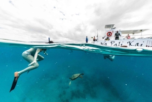 Kauai: Na Pali Küste Bootstour mit kulturellem Kapitän & Crew