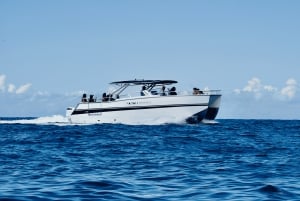 Kauai: Excursão de catamarã de luxo à costa de Na Pali