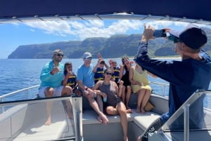 Kauai: Excursão de catamarã de luxo à costa de Na Pali