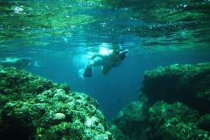 Kauai: Snorklingstur på Na Pali-kusten med lunch