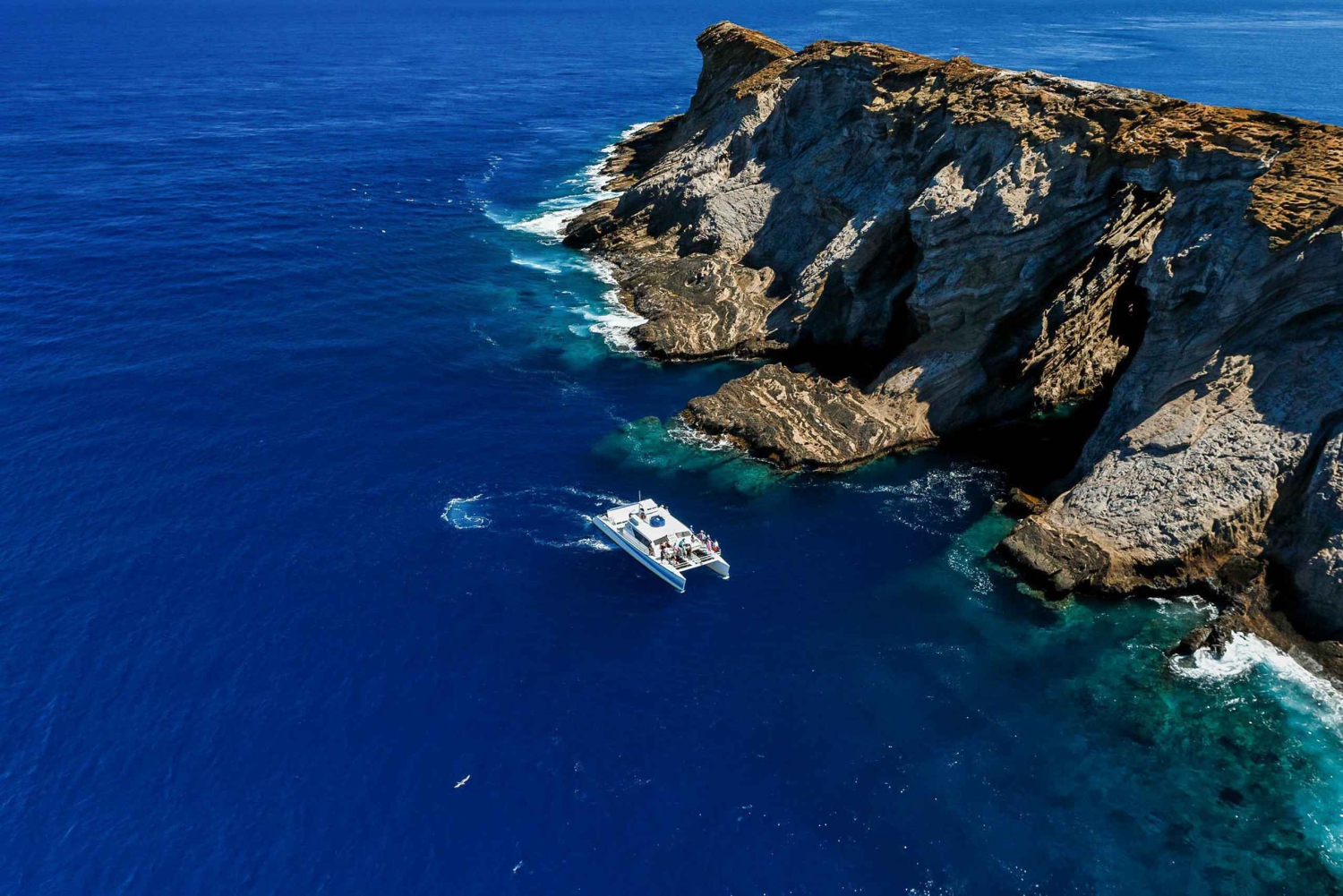 Kauai: Niihau und Na Pali Coast Ganztagestour mit dem Boot