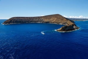 Kauai: Niihau och Na Pali Coast heldags båttur