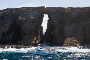 Kauai: Niihau og Na Pali-kysten heldags bådtur