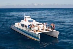 Kauai: Tour en barco de un día completo por Niihau y la costa de Na Pali
