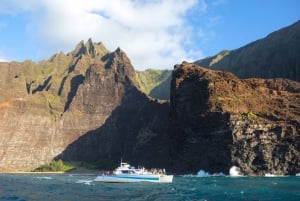 Kauai: Tour in barca di Niihau e Na Pali Coast di un giorno intero