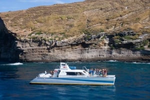 Kauai: Passeio de barco de dia inteiro por Niihau e Na Pali Coast