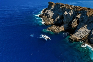 Kauai: Niihau und Na Pali Coast Ganztagestour mit dem Boot