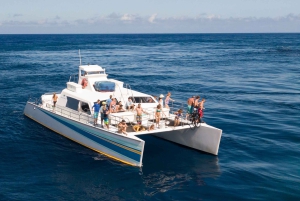 Kauai: Niihau und Na Pali Coast Ganztagestour mit dem Boot