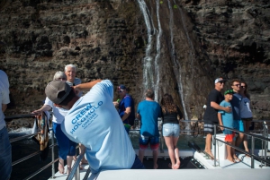 Kauai: Niihau und Na Pali Coast Ganztagestour mit dem Boot