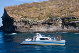 Kauai: Niihau und Na Pali Coast Ganztagestour mit dem Boot