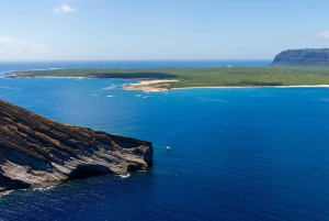 Kauai: Niihau und Na Pali Coast Ganztagestour mit dem Boot