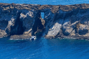 Kauai: Niihau und Na Pali Coast Ganztagestour mit dem Boot