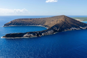 Kauai: Niihau und Na Pali Coast Ganztagestour mit dem Boot
