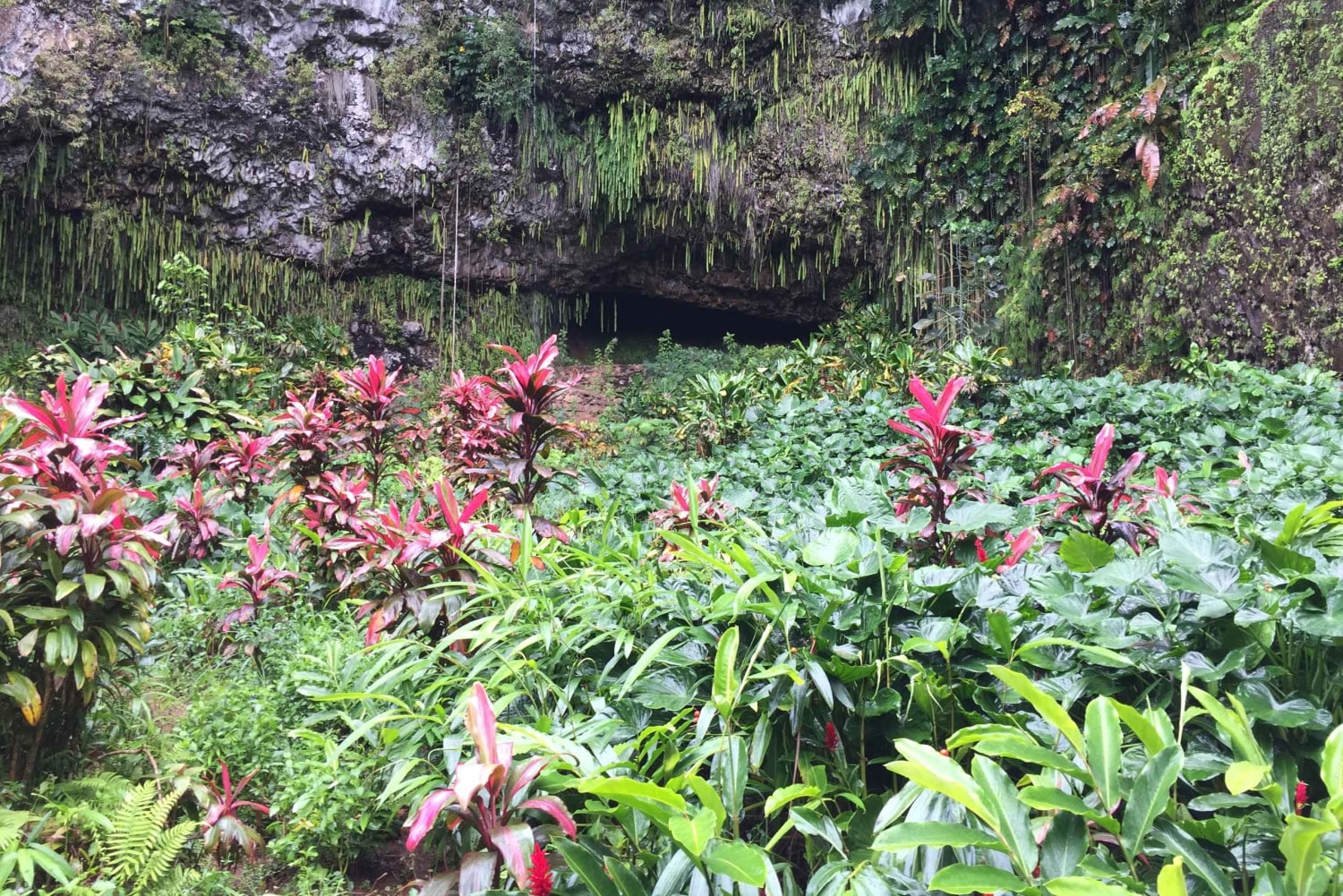 Kauai noordoost tour, Fern Grotto riviercruise & vuurtoren