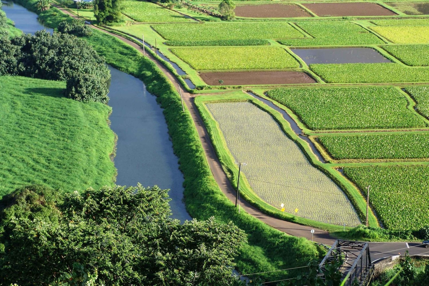 Kauai noordoost tour, Fern Grotto riviercruise & vuurtoren
