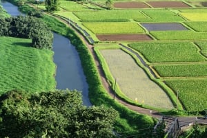 Kauai noordoost tour, Fern Grotto riviercruise & vuurtoren