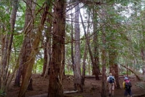 Kauai: Private Customizable Hike and Tour