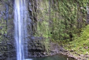 Kauai: Private Customizable Hike and Tour