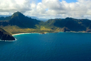 Kauai: Private Luxury Full Island Sightseeing Flight