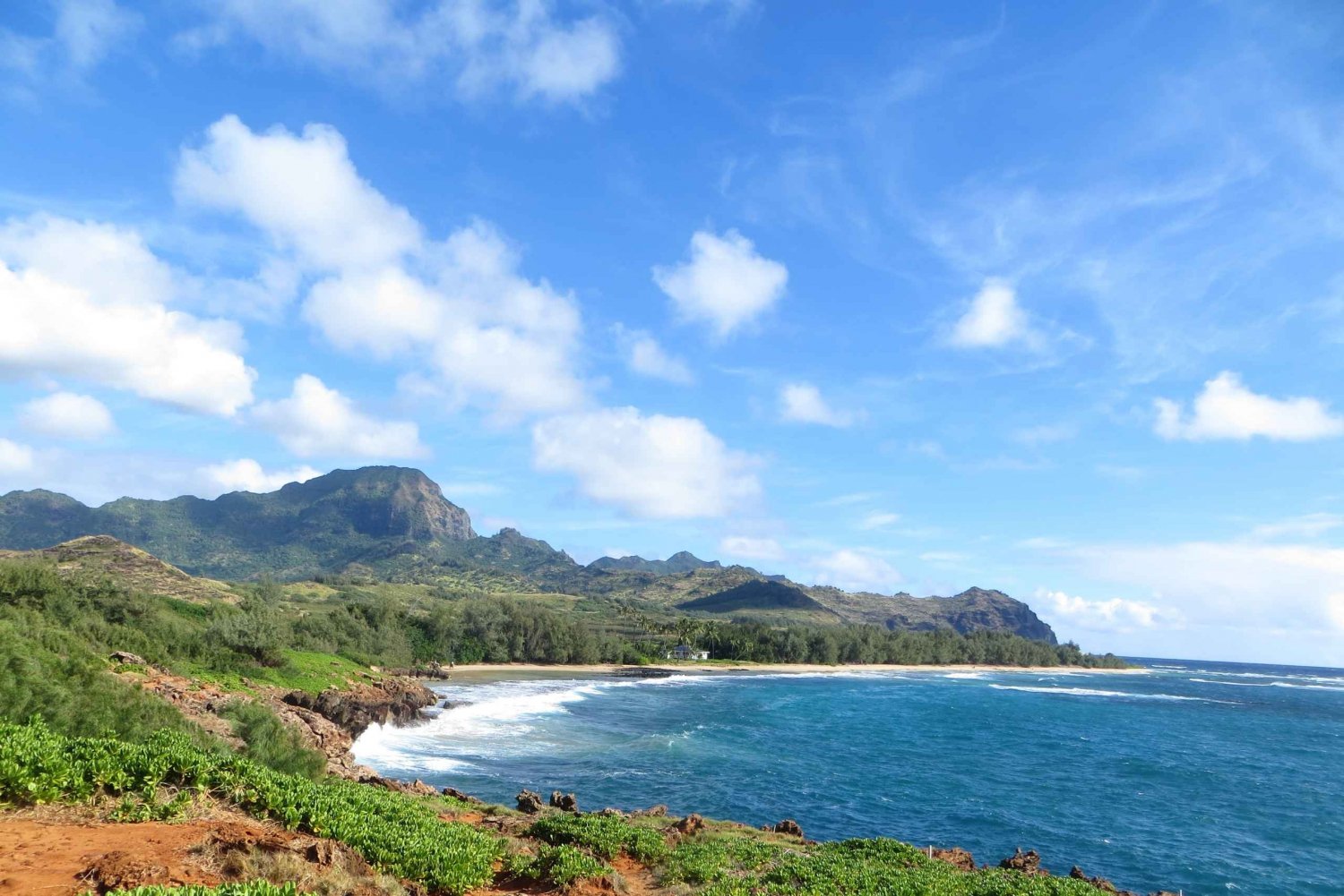 Kauai: Private skildpadder, huler og klipper på sydkysten