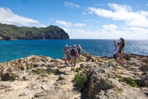 Kauai: Tartarugas Privadas, Cavernas e Penhascos South Shore Hike