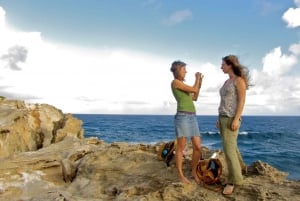 Kauai: Private skildpadder, huler og klipper på sydkysten