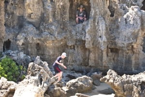 Кауаи: частные черепахи, пещеры и скалы на южном берегу