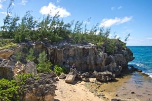 Kauai: Private skilpadder, grotter og klipper i sørkysten