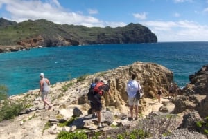 Kauai: Tartarugas Privadas, Cavernas e Penhascos South Shore Hike