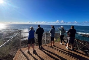 Kauai: Poipun ja Koloan maisemallinen sähköpyöräretki