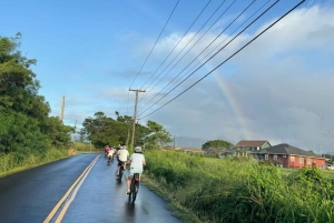 Kauai: schilderachtige elektrische fietstocht door Poipu en Koloa