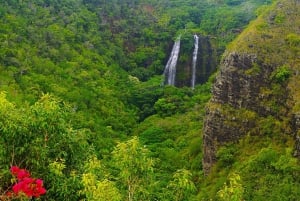 Kauai : Visite en bus des lieux de tournage les plus spectaculaires