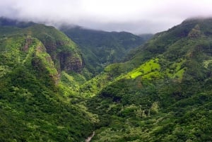 Kauai: Busstur till sceniska filmplatser